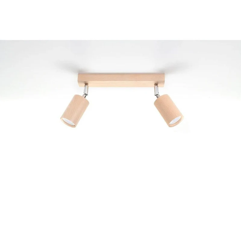 Plafonnier Spot Orientable