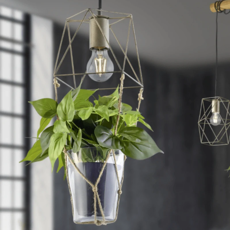 Plante Verte Suspension