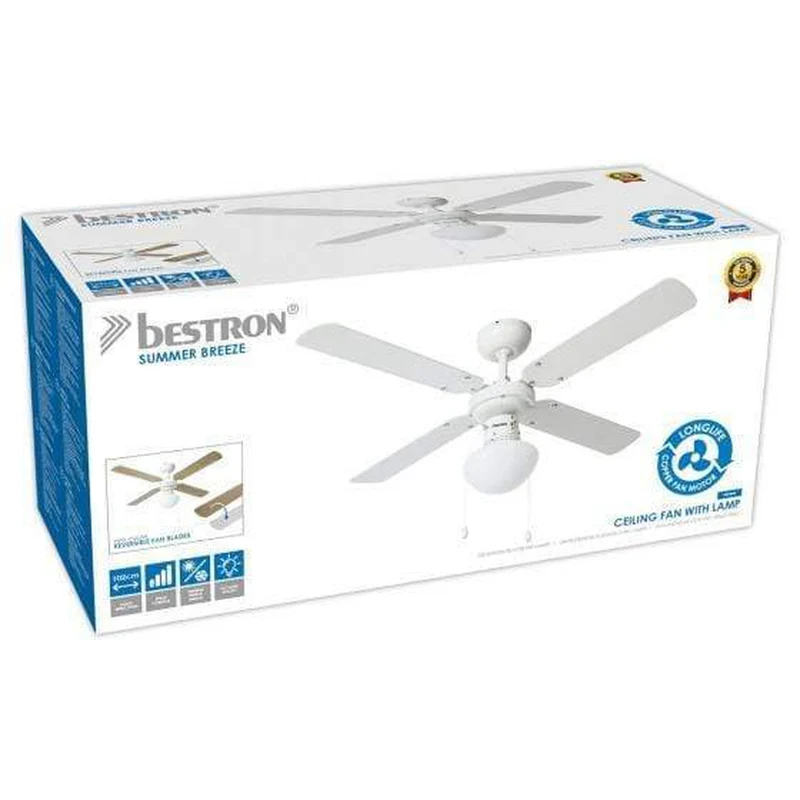 Ventilateur De Plafond Design