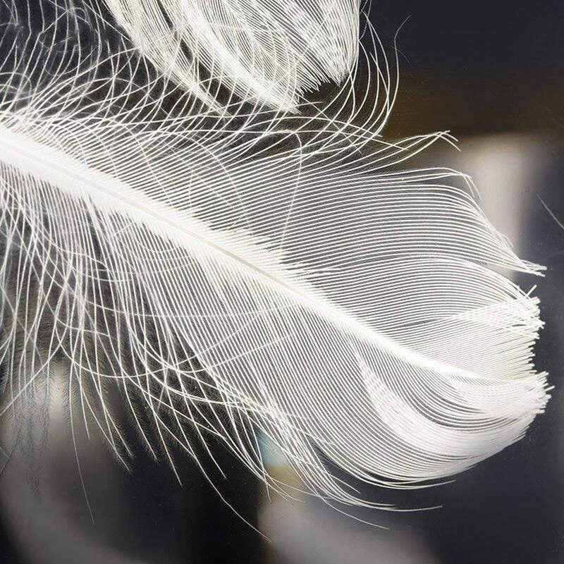 Lustre Blanc À Plume
