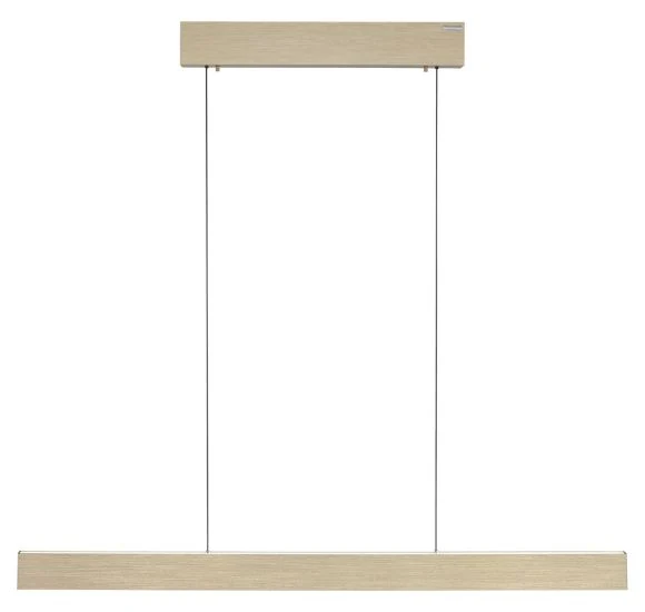 PURE E-MOTION LANGBORDSPENDEL MED MOTOR HEJS MAT MESSING LED