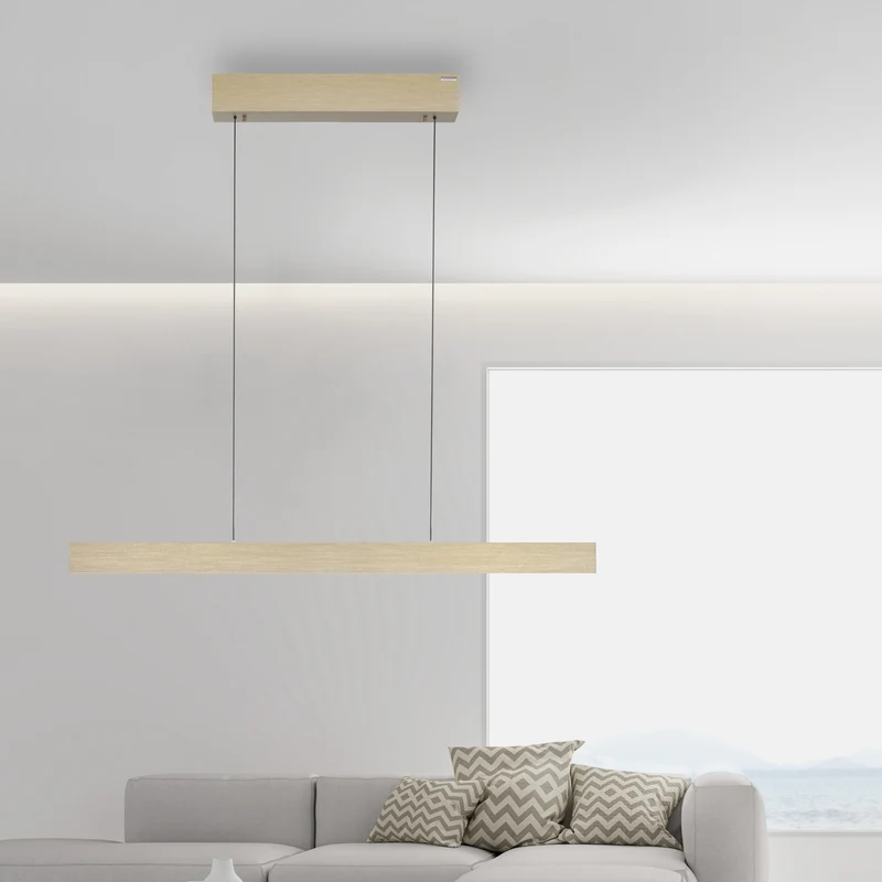 PURE E-MOTION LANGBORDSPENDEL MED MOTOR HEJS MAT MESSING LED