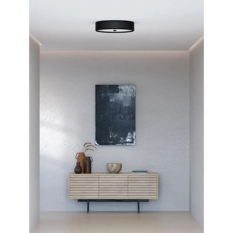 GRAIN - PLAFOND Ø50 L - MAT SORT - BELID