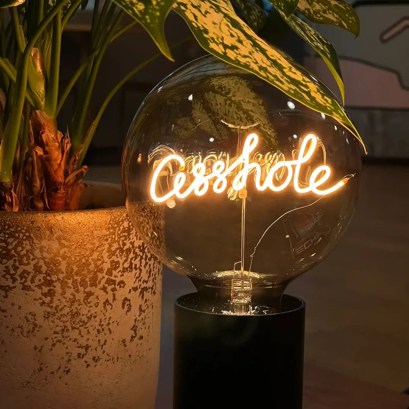 Ampoule décorative LED “Asshole” – Message In The Bulb