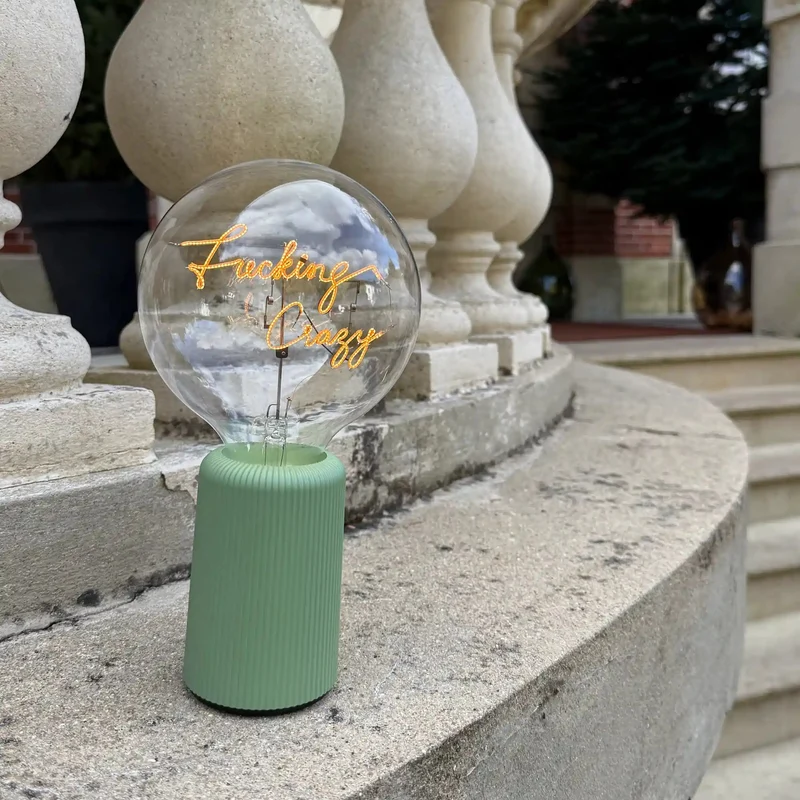 Ampoule décorative LED sans fil "Fucking Crazy" Message In The Bulb