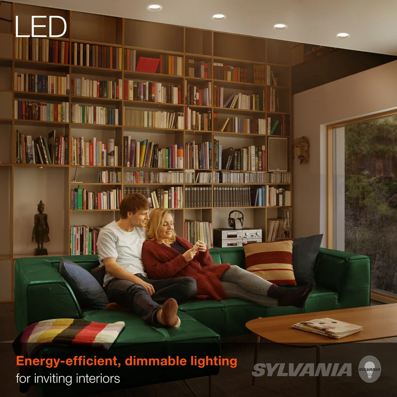 SYLVANIA LED Light Bulbs, BR30, 65W=9W, Dimmable, 10 Year, 5000K, Daylight - 2 PK