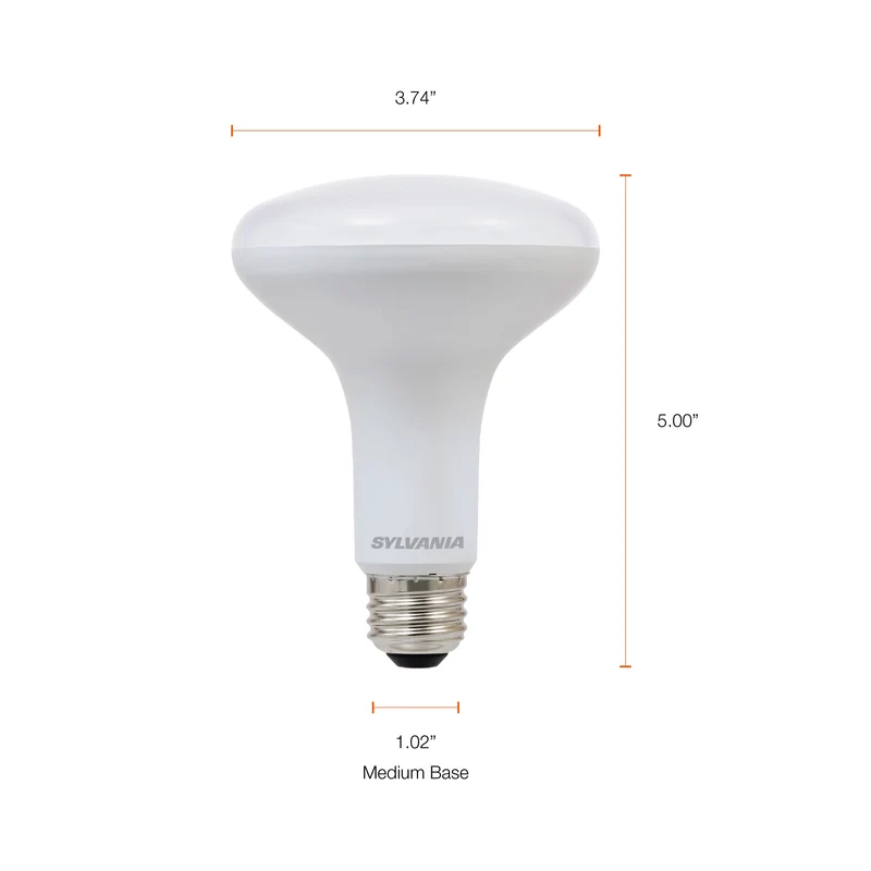 SYLVANIA LED Light Bulbs, BR30, 65W=9W, Dimmable, 10 Year, 5000K, Daylight - 2 PK