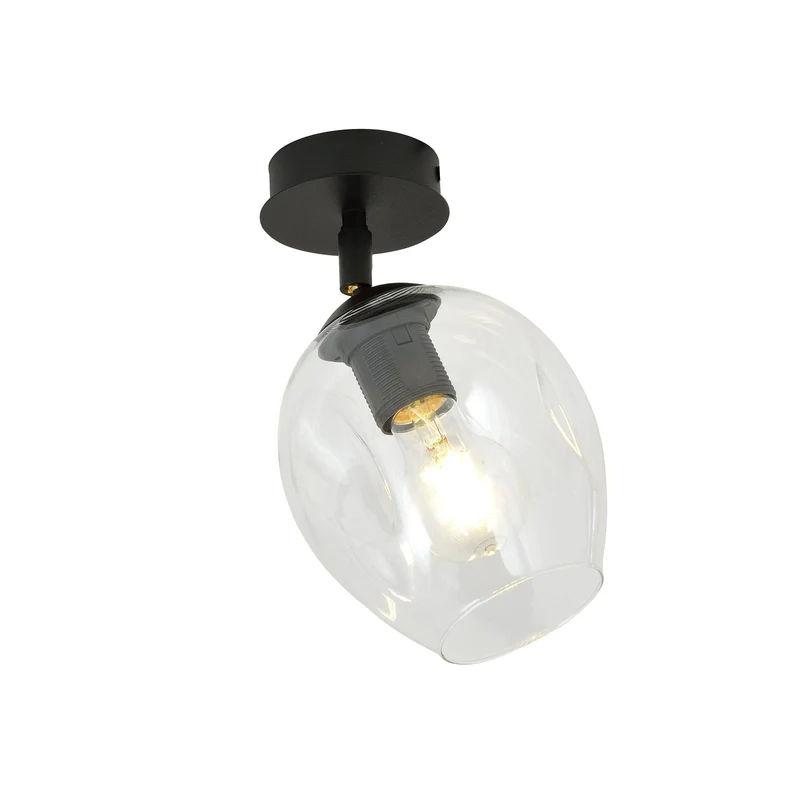 Plafonnier Transparent