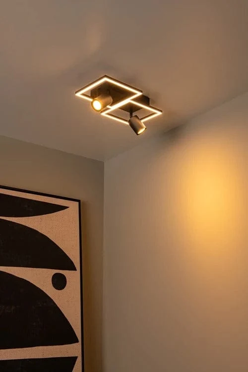 Spot Saillie Orientable