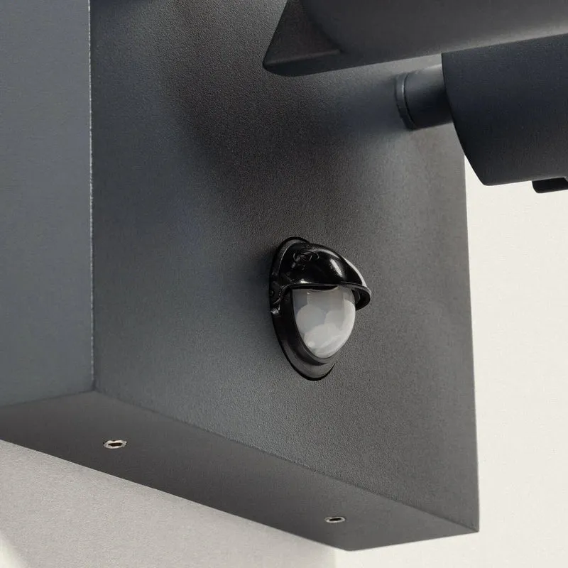 Double Spot Orientable