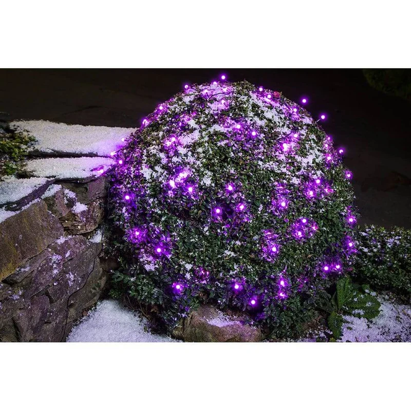 LED Globelichterkette runde Dioden 80 purpurfarbene Dioden IP44