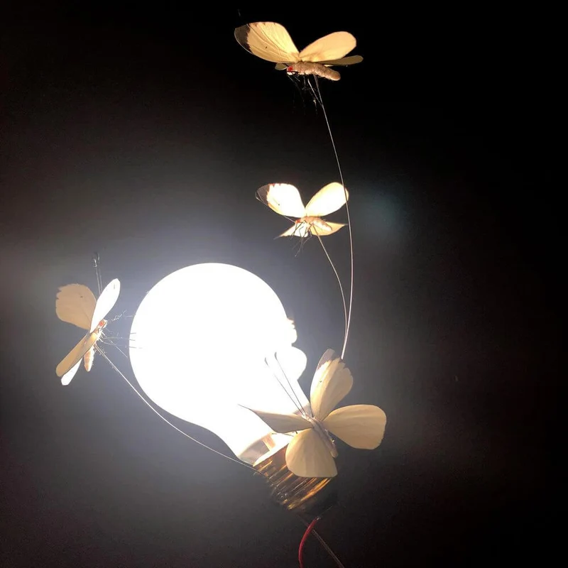 Ingo Maurer Tischlampe I Ricchi Poveri Five Butterflies Limitiert