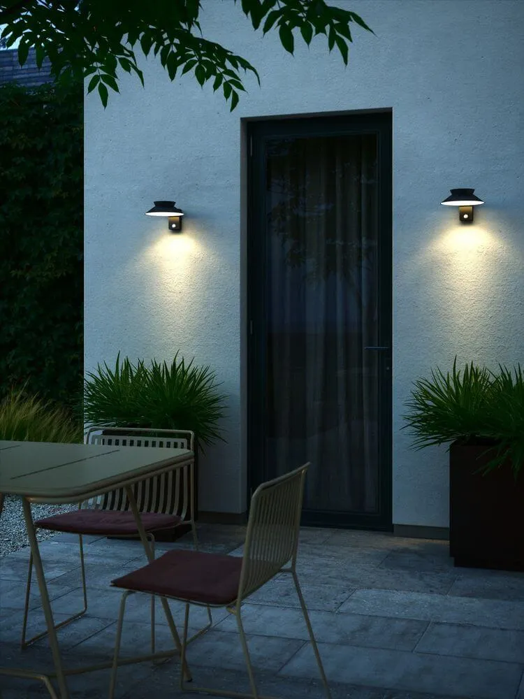 LED Außenwandlampe Justina Solar IP44
