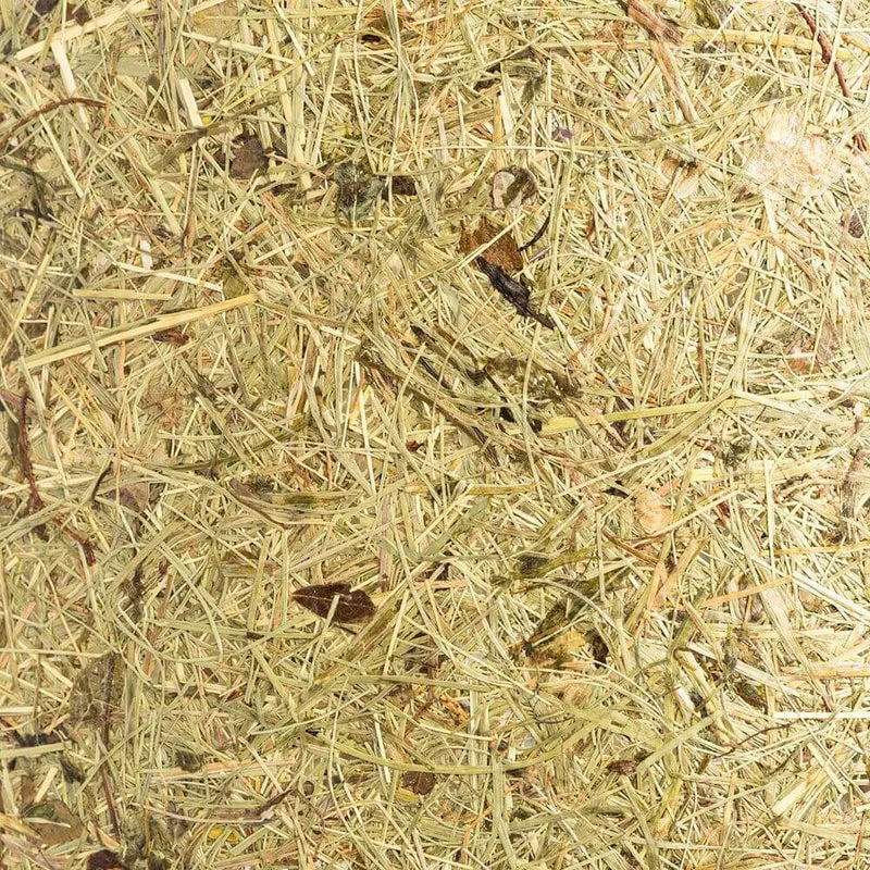 Holz Hängeleuchte mit Heuschirm