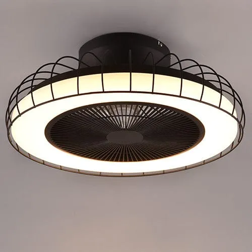 Ventilateur De Plafonnier