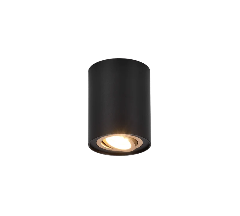 Plafonnier 1 Lampe