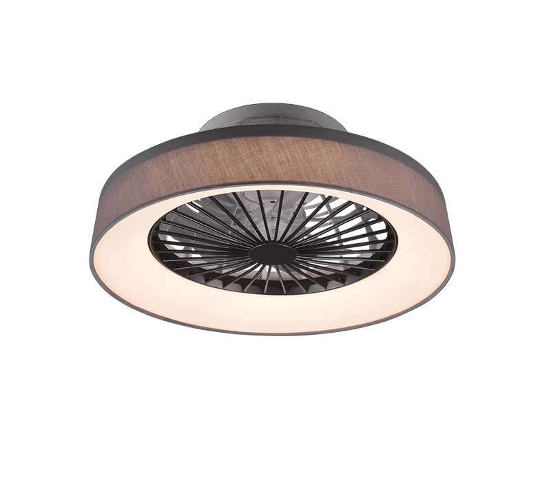 Ventilateur Plafonnier Pour Chambre