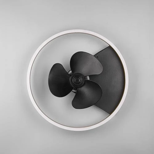Ventilateur Plafonnier Avec Lampe