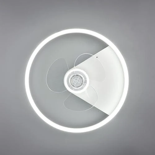 Ventilateur Plafonnier Avec Lumière