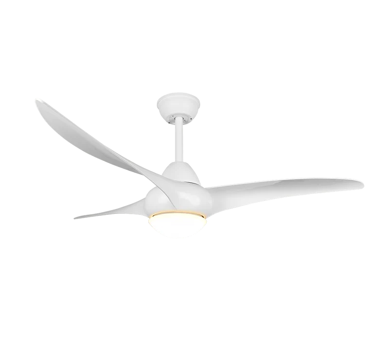 Ventilateur Plafonnier Grand Diametre