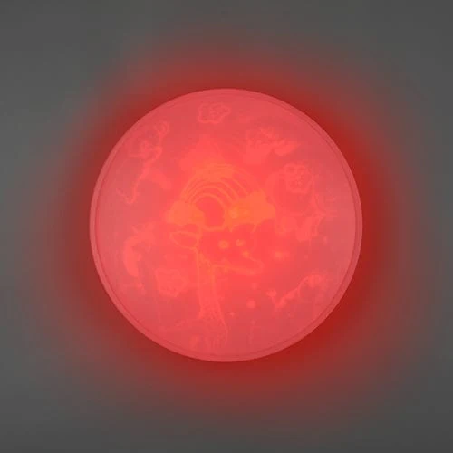 Plafonnier A Led Telecommande