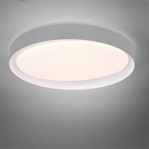 Led Plafond Salon